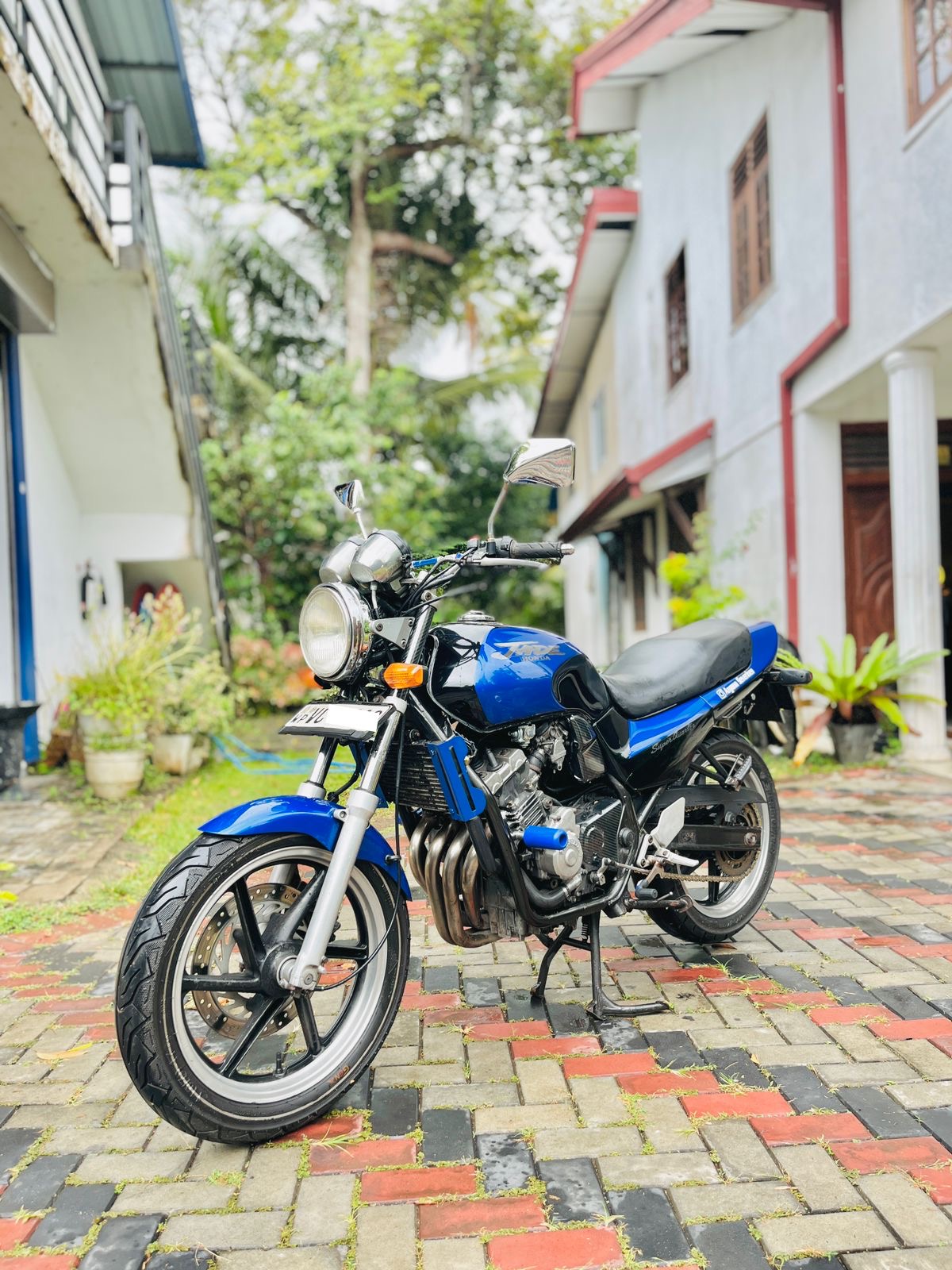 Honda jade 250 (sold)